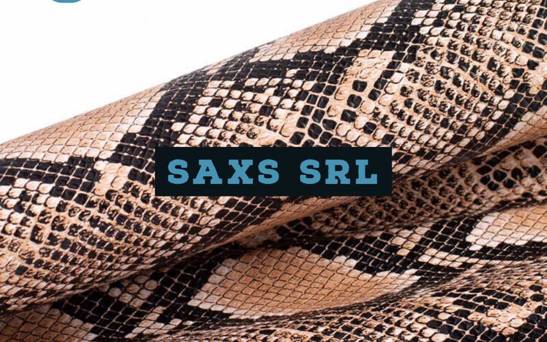 SAXS SRL